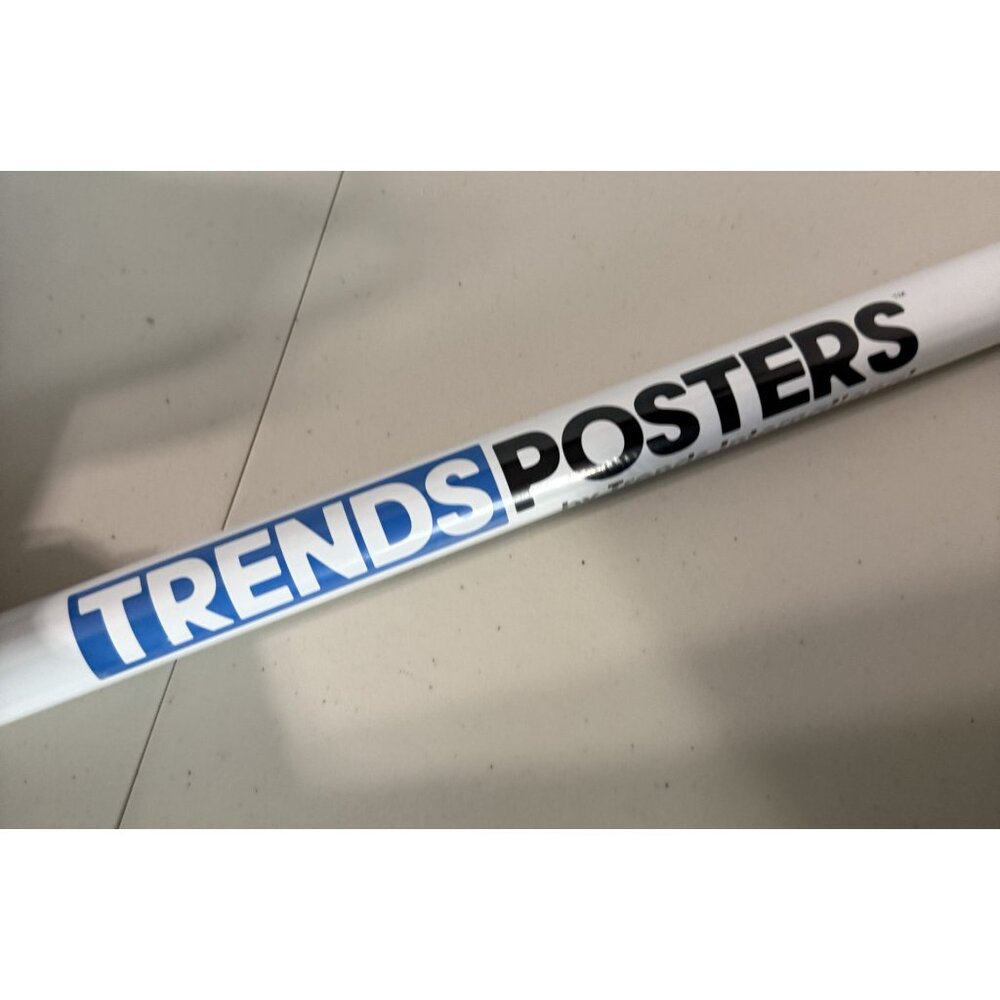 Trends International Poster - What IF? - Rolled - Picture 4 of 5